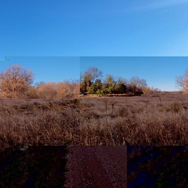 LOT8 575th, Greenleaf Twp, MN 55355 - photo 2