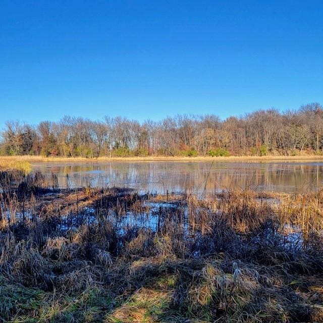 LOT8 575th, Greenleaf Twp, MN 55355 - photo 3