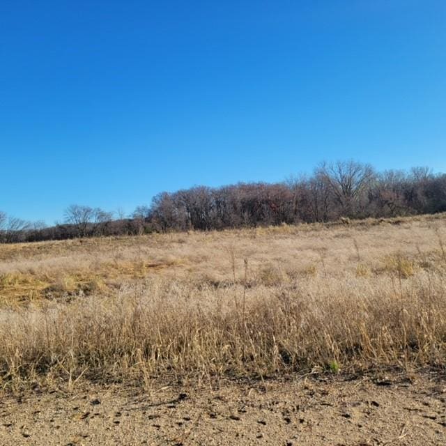 LOT8 575th, Greenleaf Twp, MN 55355 - photo 4
