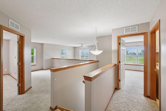820 Princeton Ave, Shakopee, MN 55379 - photo 13