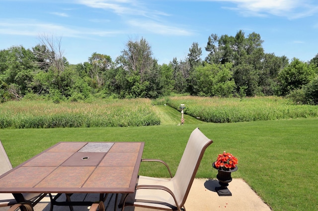 114 Serenity Ct, Avon, MN 56310 - photo 23
