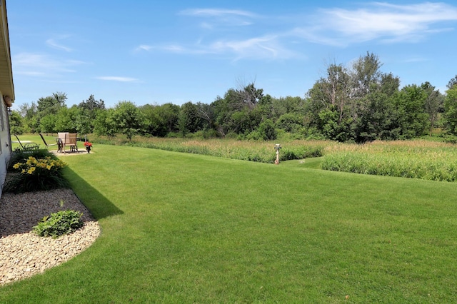 114 Serenity Ct, Avon, MN 56310 - photo 25