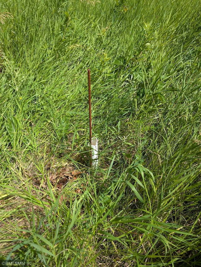 Listing photo 13 - caption unavailable