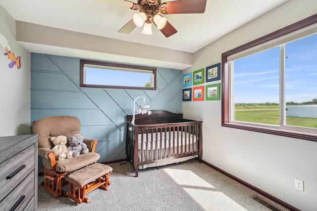 1381 Robert Creek Curv, Belle Plaine, MN 56011 - photo 29