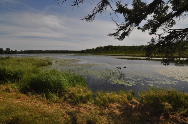 4610 Boone Point Rd NW, Hackensack, MN 56452 - photo 2