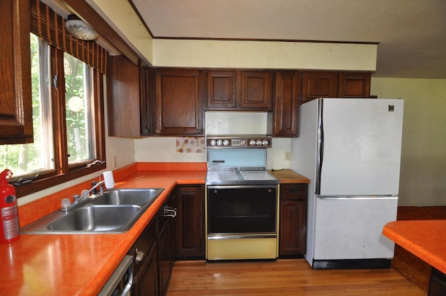 4610 Boone Point Rd NW, Hackensack, MN 56452 - photo 9