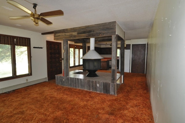 4610 Boone Point Rd NW, Hackensack, MN 56452 - photo 10