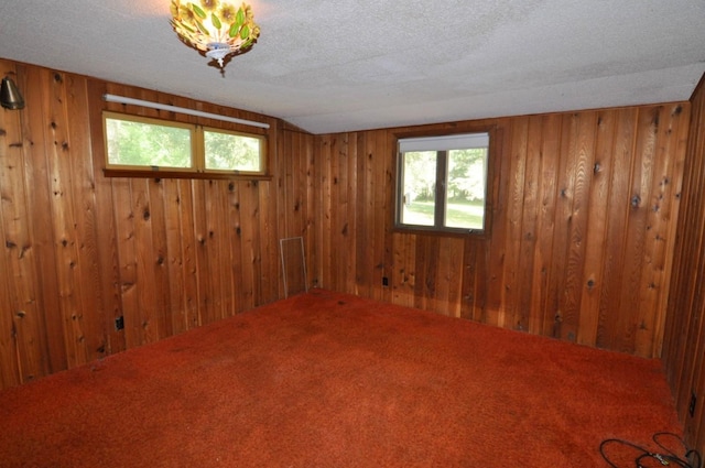 4610 Boone Point Rd NW, Hackensack, MN 56452 - photo 13