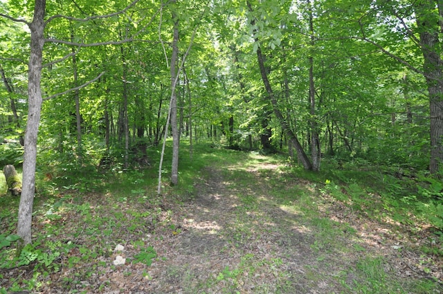 4610 Boone Point Rd NW, Hackensack, MN 56452 - photo 31