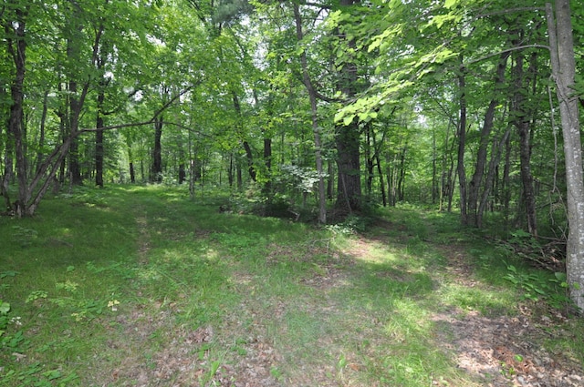 4610 Boone Point Rd NW, Hackensack, MN 56452 - photo 32