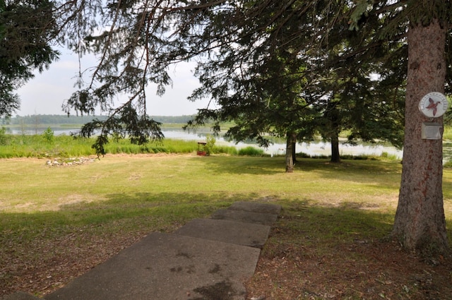 4610 Boone Point Rd NW, Hackensack, MN 56452 - photo 36