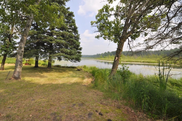 4610 Boone Point Rd NW, Hackensack, MN 56452 - photo 38