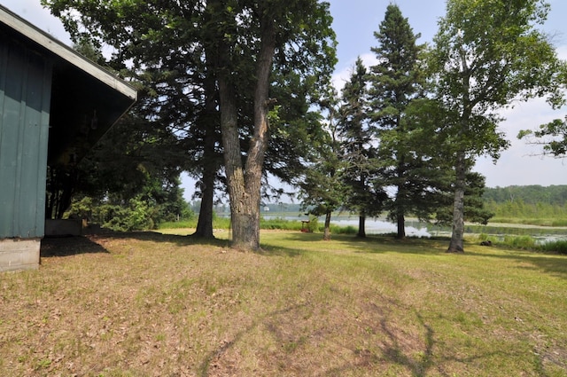 4610 Boone Point Rd NW, Hackensack, MN 56452 - photo 43