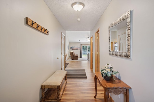 19116 Concord Ct NW, Elk River, MN 55330 - photo 5