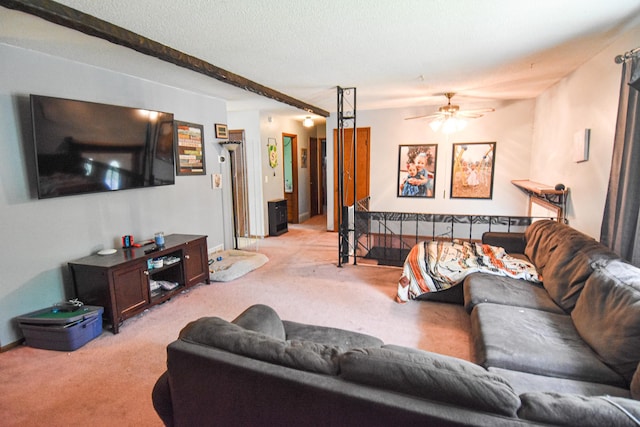 1828 Robin Hood Dr, Thief River Falls, MN 56701 - photo 4