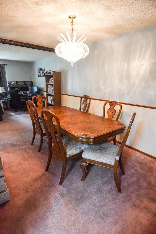 1828 Robin Hood Dr, Thief River Falls, MN 56701 - photo 5