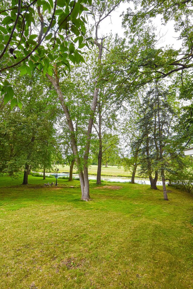 1828 Robin Hood Dr, Thief River Falls, MN 56701 - photo 35