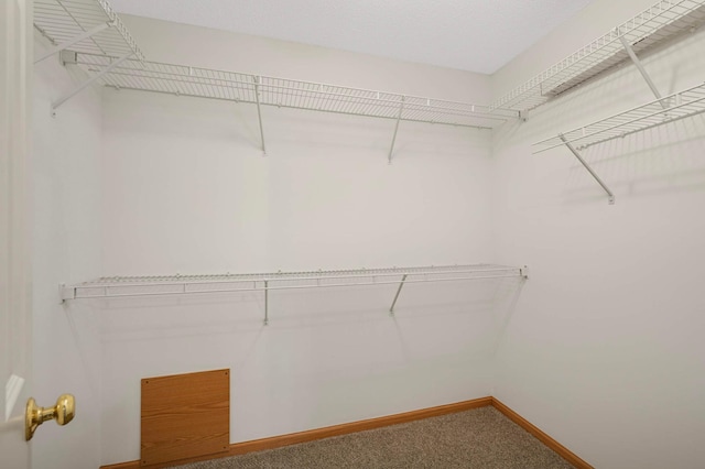 5402 Fawn Meadow Curv, Prior Lake, MN 55372 - photo 23