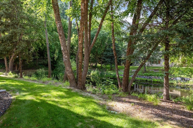 11420 Clarion Way, Minnetonka, MN 55343 - photo 44