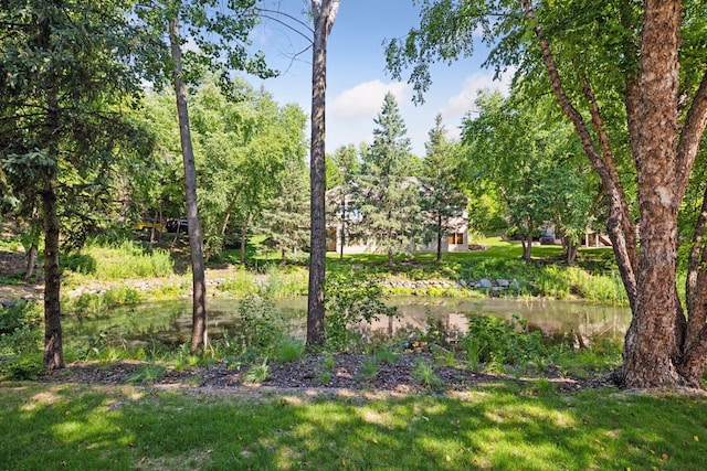 11420 Clarion Way, Minnetonka, MN 55343 - photo 45