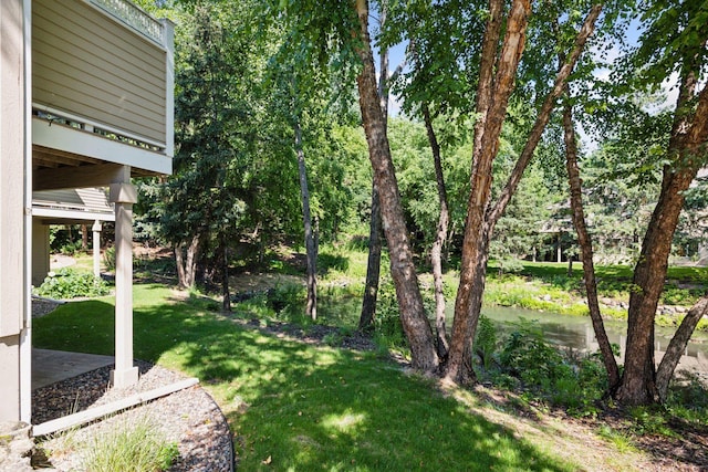11420 Clarion Way, Minnetonka, MN 55343 - photo 46