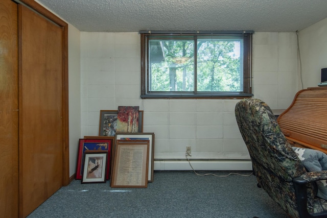503 2nd St SW, Pine River, MN 56474 - photo 55