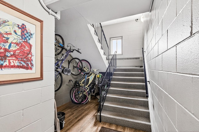 3729 Snelling Ave Unit 308, Minneapolis, MN 55406 - photo 25