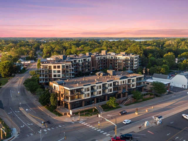 4201 Sunset Dr Unit N407, Spring Park, MN 55384 - photo 9