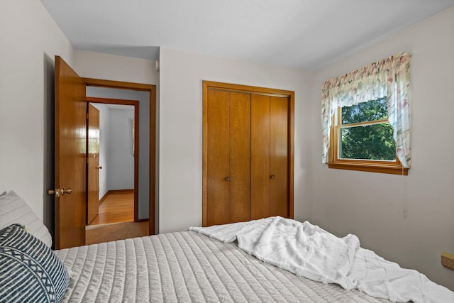 1015 Main St S, Shakopee, MN 55379 - photo 20