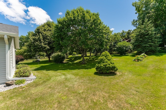 320 Northern Hills Trl, Saint Charles, MN 55972 - photo 5