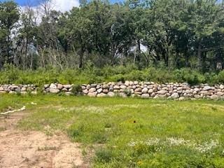 27280 Petes Hill Trl, Elko New Market, MN 55020 - photo 5