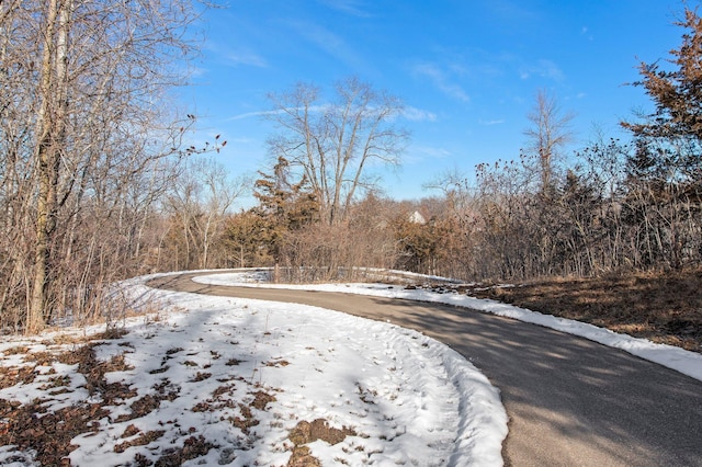 27280 Petes Hill Trl, Elko New Market, MN 55020 - photo 18