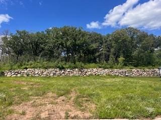 27260 Petes Hill Trl, Elko New Market, MN 55020 - photo 2