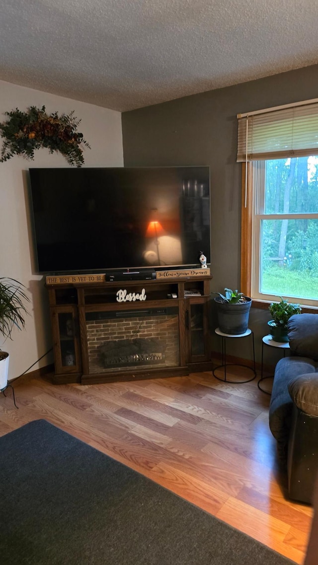 8492 190th St, Hayland Twp, MN 56353 - photo 5