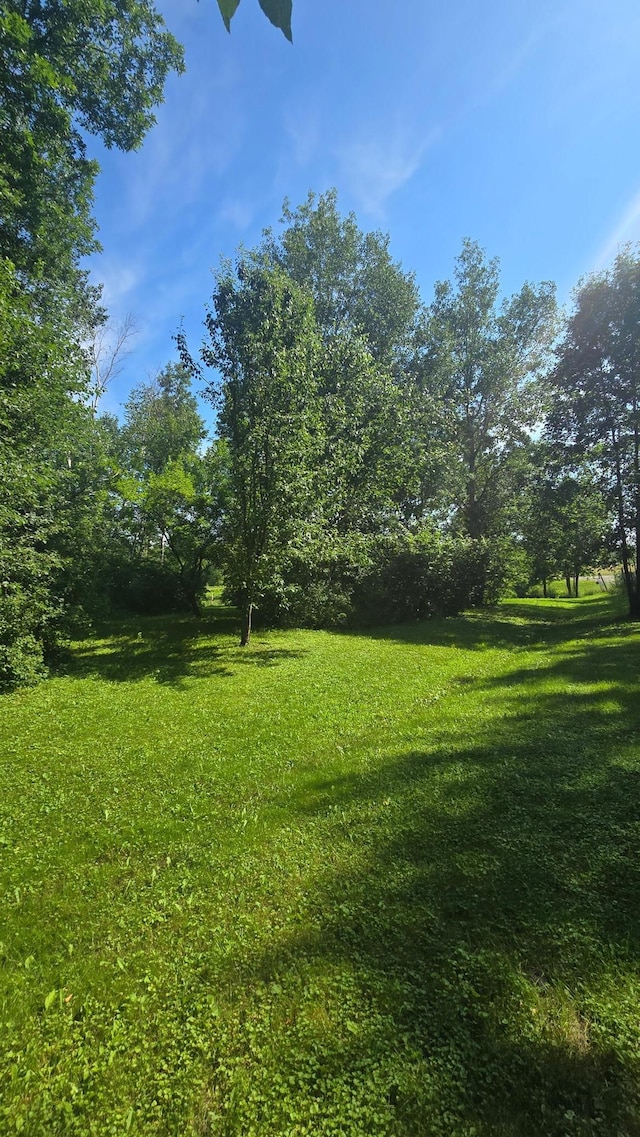 8492 190th St, Hayland Twp, MN 56353 - photo 19