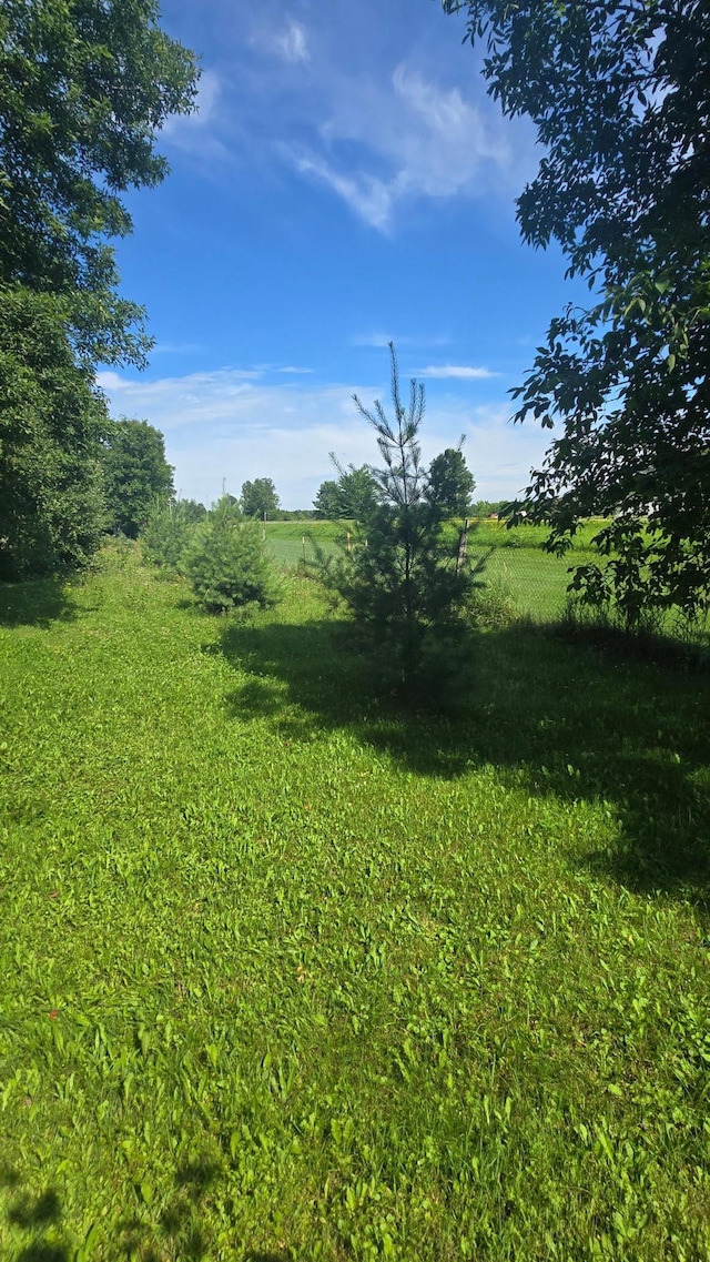 8492 190th St, Hayland Twp, MN 56353 - photo 20