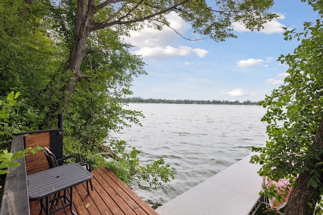 17959 Roberds Lake Blvd, Wells Twp, MN 55021 - photo 46