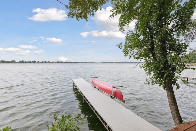 17959 Roberds Lake Blvd, Wells Twp, MN 55021 - photo 47