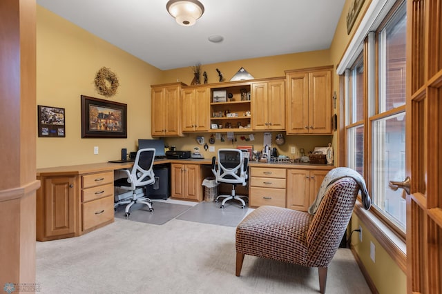 249 Chestnut Dr, Horace, ND 58047 - photo 43