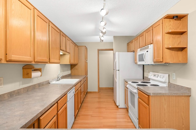 1667 Chadum Ln, Shakopee, MN 55379 - photo 10