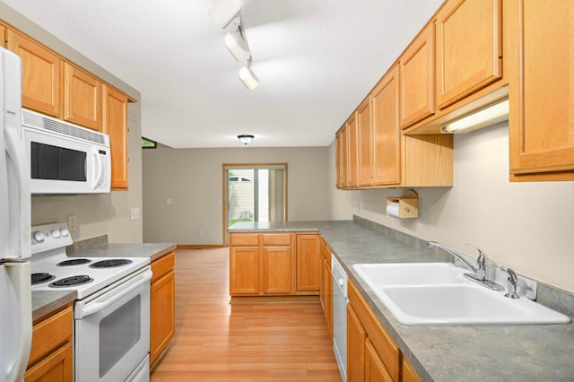 1667 Chadum Ln, Shakopee, MN 55379 - photo 8