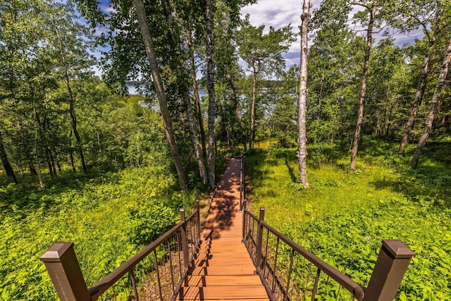 25271 County 7, Park Rapids, MN 56470 - photo 7