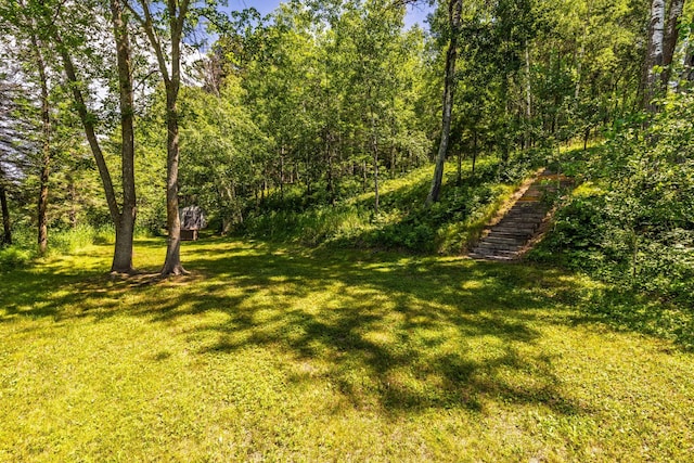 25271 County 7, Park Rapids, MN 56470 - photo 8