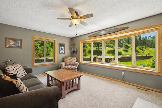 25271 County 7, Park Rapids, MN 56470 - photo 10