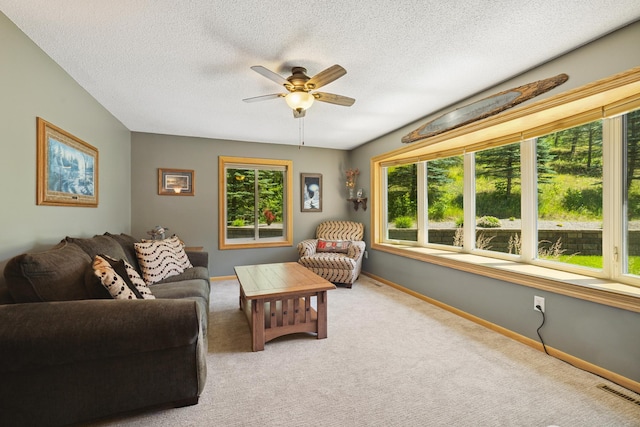 25271 County 7, Park Rapids, MN 56470 - photo 11