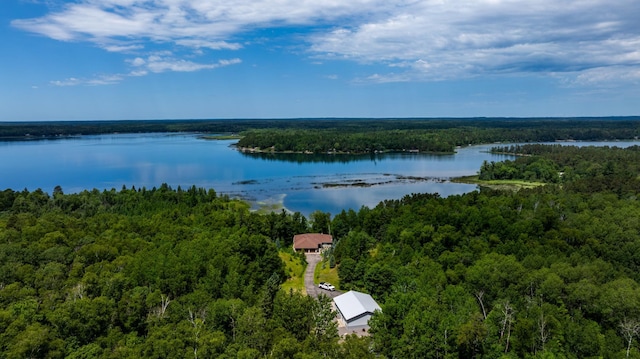 25271 County 7, Park Rapids, MN 56470 - photo 51