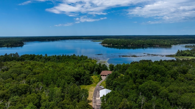 25271 County 7, Park Rapids, MN 56470 - photo 52