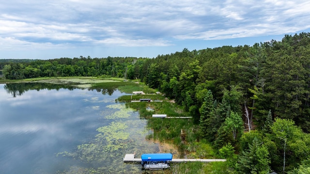 25271 County 7, Park Rapids, MN 56470 - photo 54