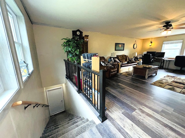 49354 Center Point Rd, Marcell Twp, MN 56628 - photo 86