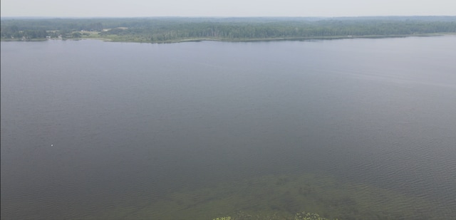49354 Center Point Rd, Marcell Twp, MN 56628 - photo 100